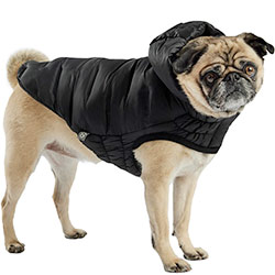 GF Pet Cloud Dog Parka Black Парка для собак, чорна