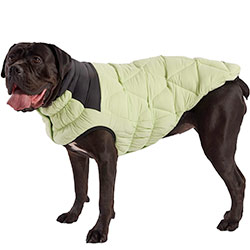 GF Pet Diamond Dog Puffer Green Пуховик для собак, зелений
