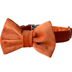 Harley and Cho Нашийник-метелик для собак і котів Orange