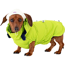 Hat-Dog Boy Ветровка для такс, неон Hat-Dog Boy Ветровка для такс, неон