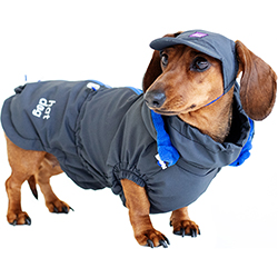 Hat-Dog Boy Ветровка для такс, графит Hat-Dog Boy Ветровка для такс, графит