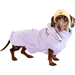 Hat-Dog Boy Ветровка для такс, лиловая Hat-Dog Boy Ветровка для такс, лиловая