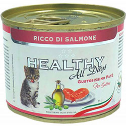 Healthy Alldays Cat Pate Salmon Kitten Cans