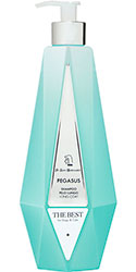 Iv San Bernard Pegasus Long Coat Shampoo