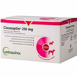 Клавасептин Таблетки, 250 мг
