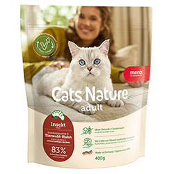 Mera Cats Adult Insect (Insekt)