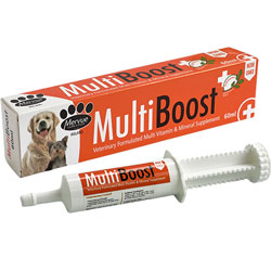 Mervue MultiBoost Dogs & Puppies Paste