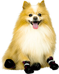 Noble Pet Walker Grayish Red Ботинки для собак, бордовые
