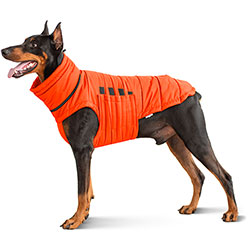 Noble Pet Bobby Orange Пуховик для собак, помаранчевий