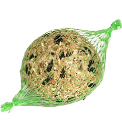 Padovan FatBall