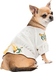 Pet Fashion Вышиванка "Maryana" для собак