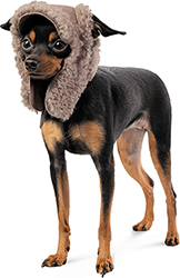 Pet Fashion Шапка "Valley" для собак