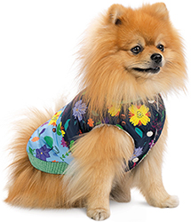 Pet Fashion Жилет "Grass" для собак
