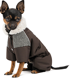 Pet Fashion Костюм "Locky" для собак
