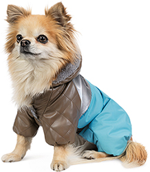 Pet Fashion Комбінезон "Сharlie" для собак