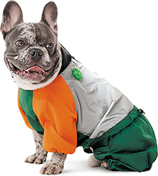 Pet Fashion Дощовик "Marlie" для собак
