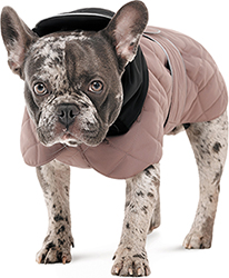 Pet Fashion Попона "Max" для собак