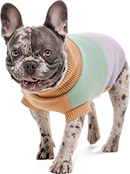 Pet Fashion Светр "Rich" для собак