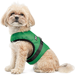 Pet Fashion Шлея "Ross" для собак