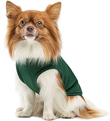 Pet Fashion Борцівка "Kale" для собак, зелена