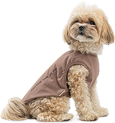 Pet Fashion Борцівка "Kale" для собак, коричнева