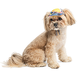 Pet Fashion Кепка "Tony" для собак