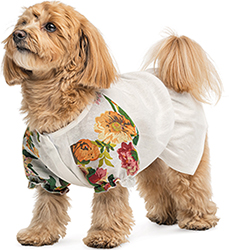Pet Fashion Сорочка "Соломія" для собак, біла