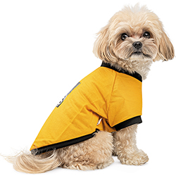 Pet Fashion Футболка "Jessica" для собак