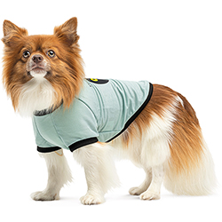 Pet Fashion Футболка "Oscar" для собак