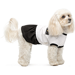 Pet Fashion Сукня "Chanti" для собак