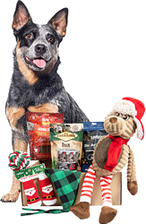 Christmas Medium Breed Box