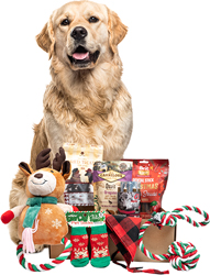 Christmas Large Breed Box
