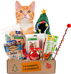 Christmas Cat Box