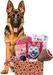 Valentine's Day Large Breed Box