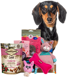 Valentine's Day Small Breed Box