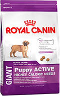 Royal Canin Giant Puppy Active
