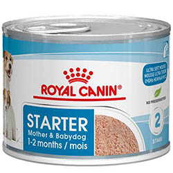Royal Canin Starter Mousse