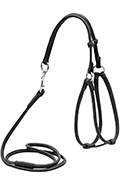WauDog Шлея кругла з повідцем для собак малих порід, чорна WauDog Шлея кругла з повідцем для собак малих порід, чорна