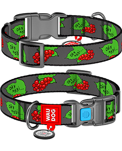 WauDog Nylon Нейлоновий нашийник із принтом "Калина" для собак WauDog Nylon Нейлоновий нашийник із принтом "Калина" для собак