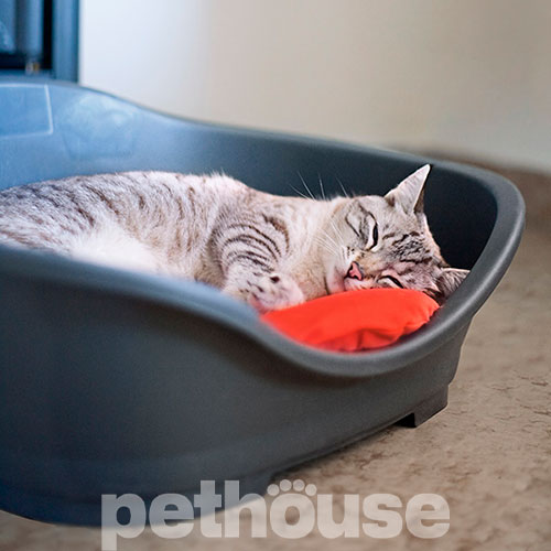 Stefanplast Sleeper 1 Пластиковий лежак для собак і котів, фото 5