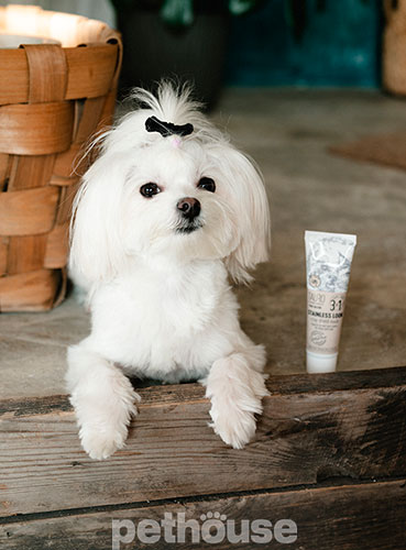 Tauro Pro Line Pure Nature Stainless Look 3in1 Маска для удаления пятен с белой шерсти собак