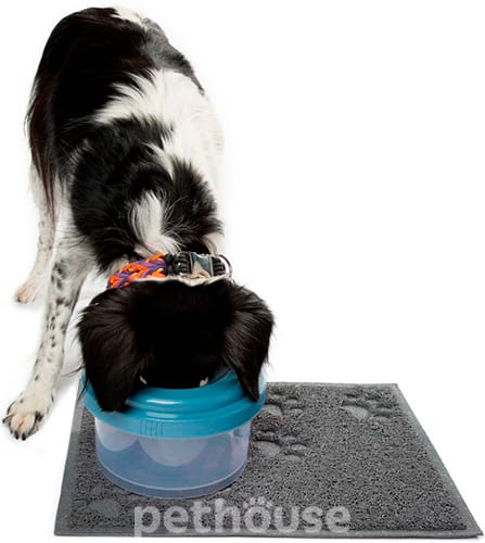 Tilty Bowl Миска с защитой от проливания для собак, 600 мл, фото 5