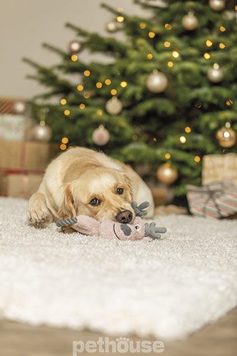 Trixie Xmas Игрушка "Рождественский олень" с канатом для собак