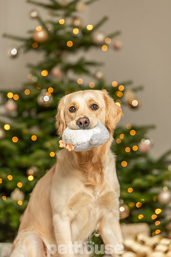 Trixie Xmas Іграшка "Різдвяний пінгвін" для собак Trixie Xmas Іграшка "Різдвяний пінгвін" для собак