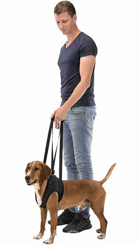 Trixie Walking Aid Підтримувальна шлея для собак