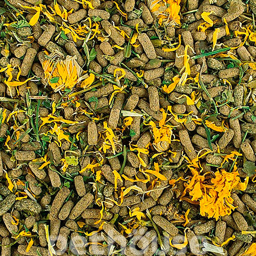 Tropical Reptiles Herbivore Soft - корм для растительноядных рептилий, фото 2