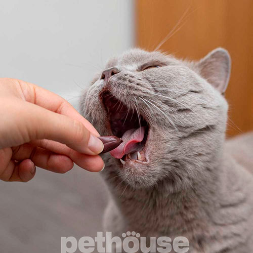 VetExpert ArthroVet HA Complex Small breed & cats