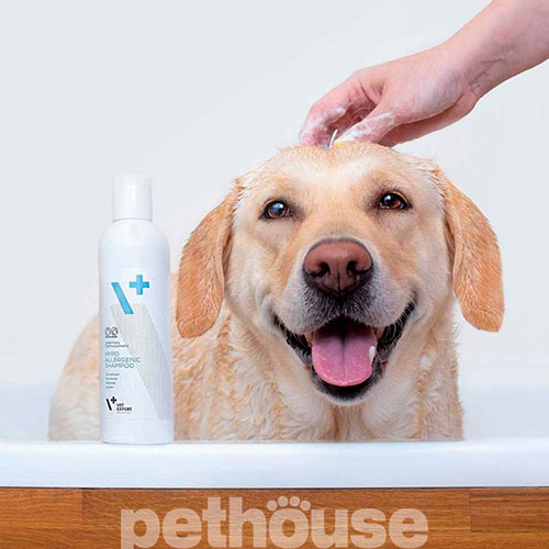 VetExpert Hypoallergenic Shampoo Гіпоалергенний шампунь для котів і собак VetExpert Hypoallergenic Shampoo Гіпоалергенний шампунь для котів і собак