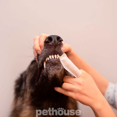 VetExpert Caryodent Finger Wipes Серветки для чищення зубів котів і собак