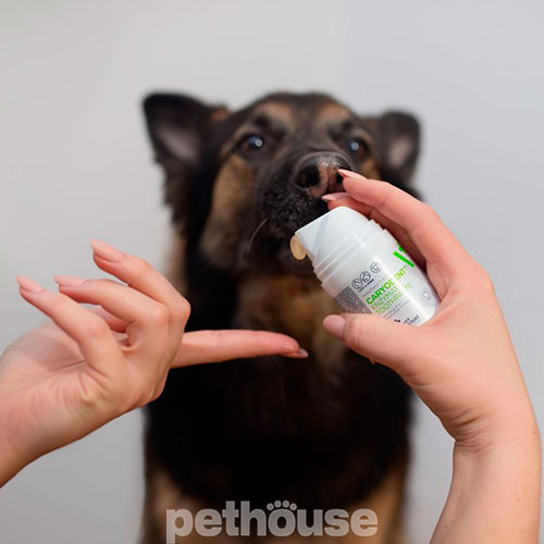 VetExpert Caryodent Enzymatic Toothpaste Зубна паста для котів і собак